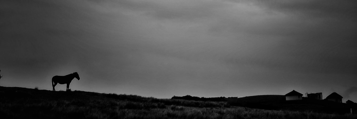 moya_wilde's profile banner image