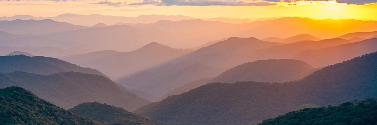 Kelly McCarty (formerly NONBidenary)'s banner