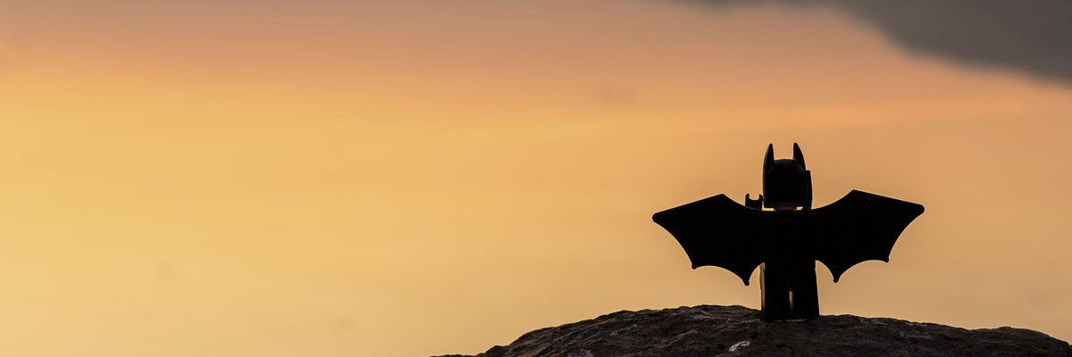 ilcarota's profile banner image