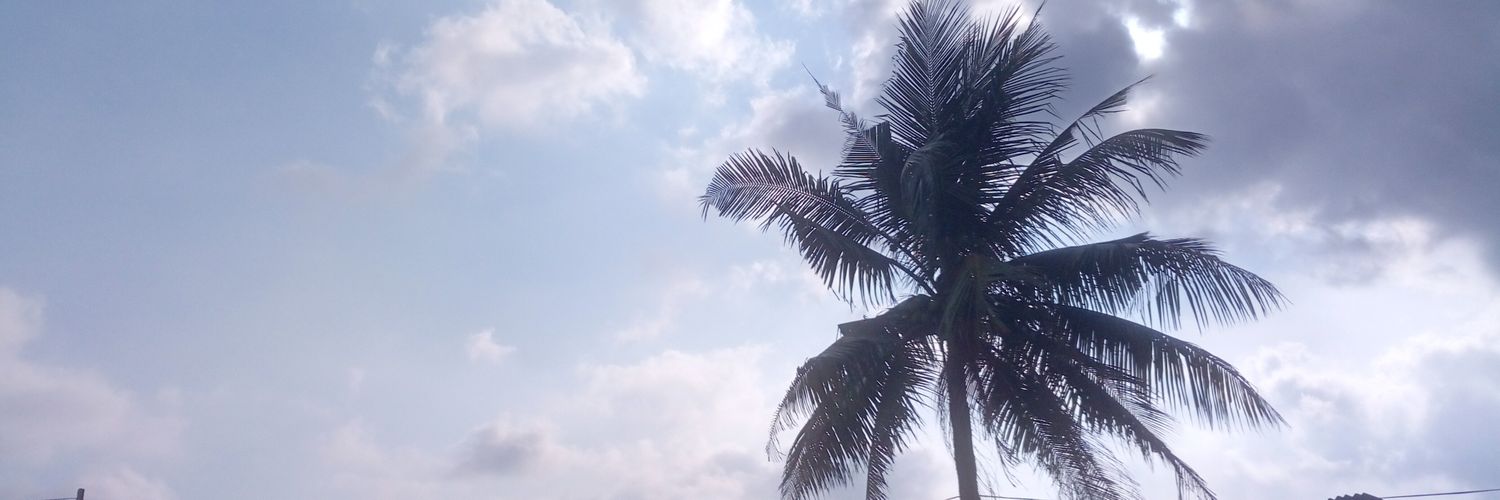 vickollow's profile banner image
