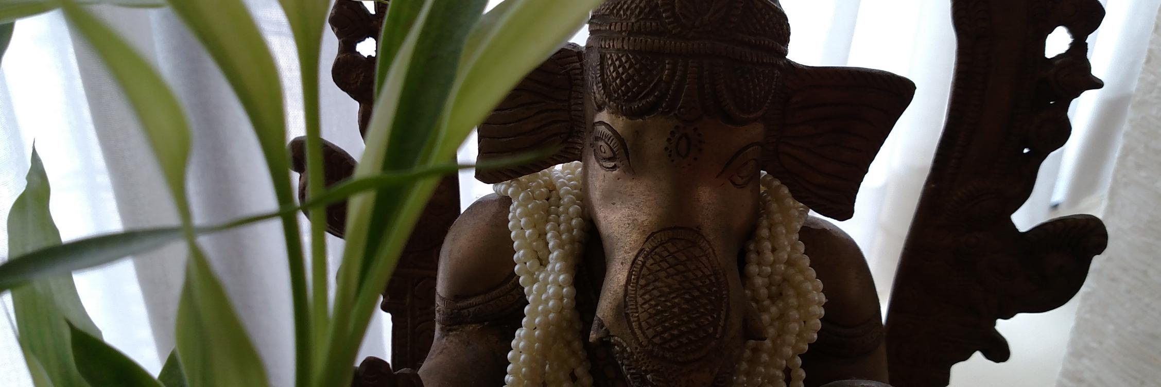 bluemoonyoga827's profile banner image