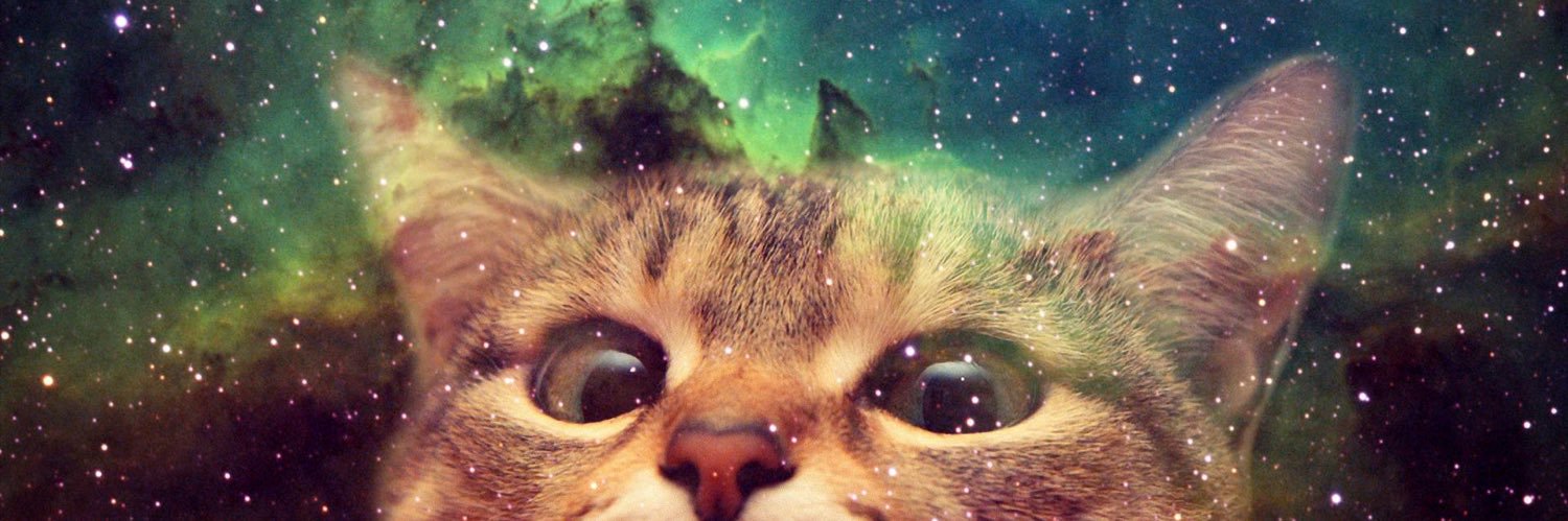 pinkyroar's profile banner image