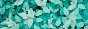 Alondra_Borges's profile banner image