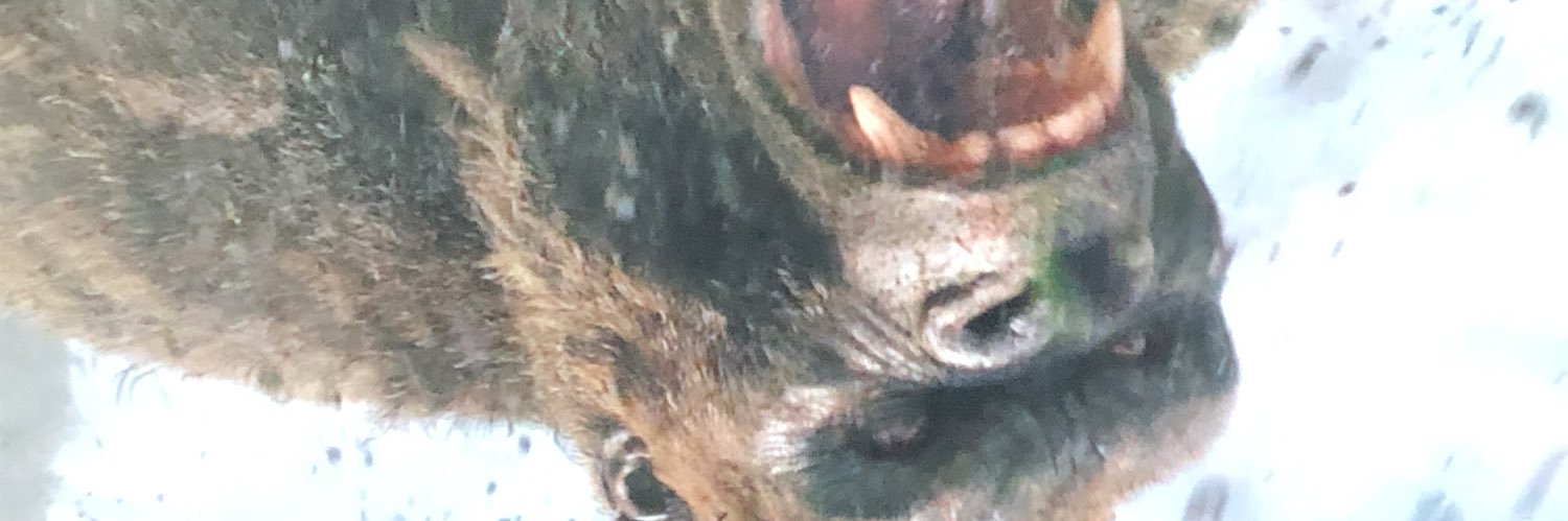 nmnmddd's profile banner image