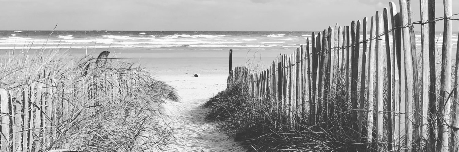 Stephanie Lee banner