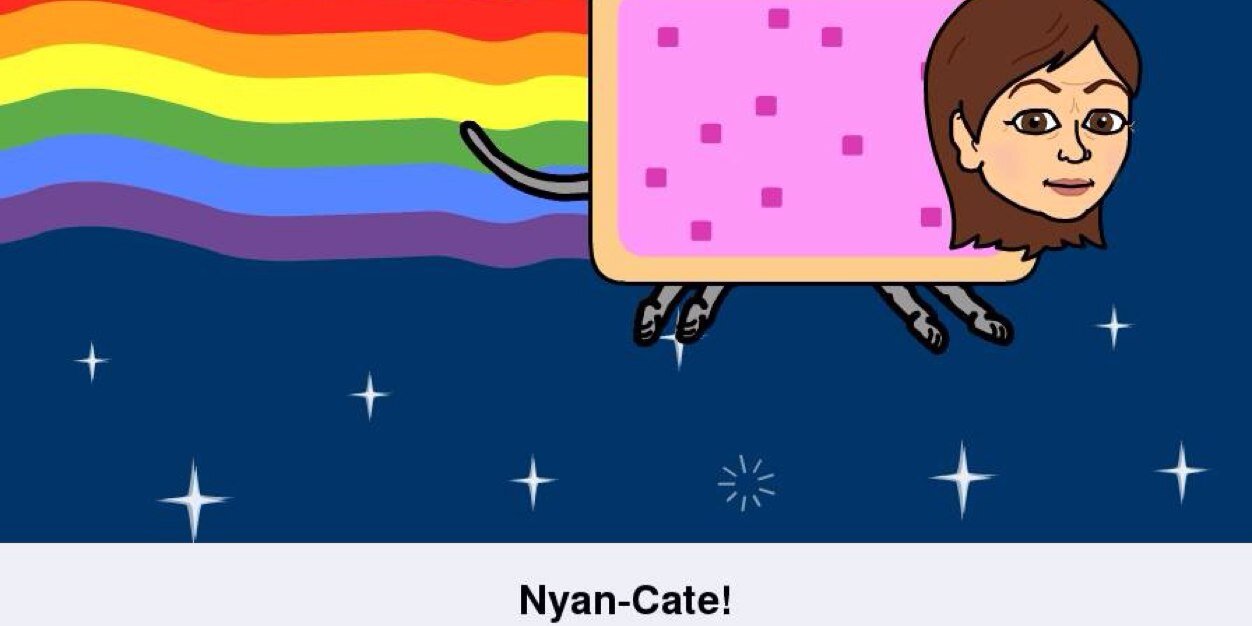 catertotd's profile banner image