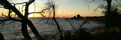 Mystinize's profile banner image