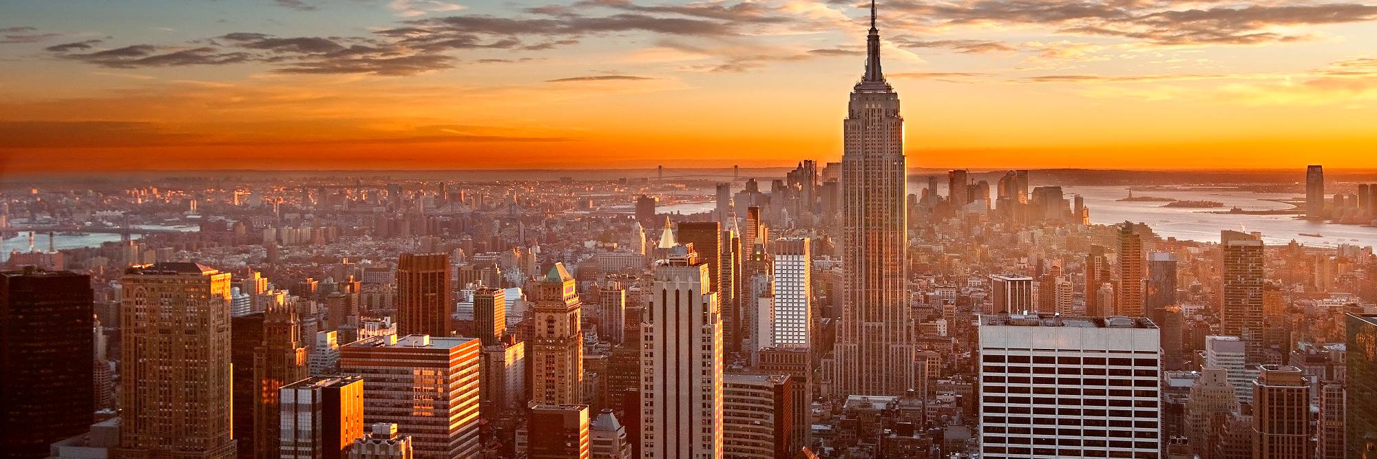 Scott MacGregor banner