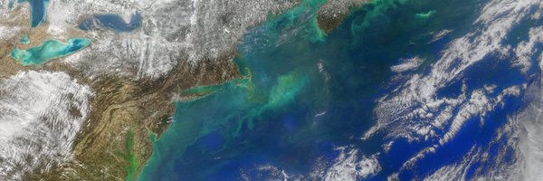 IGESnews Profile Banner