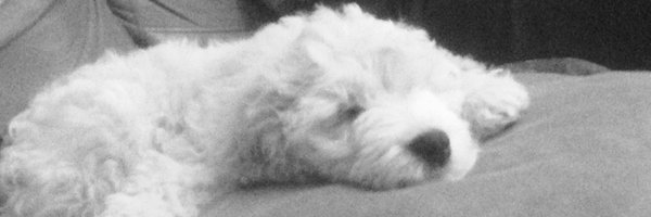 Sues2311 Profile Banner