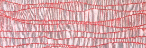 aethersovereign Profile Banner