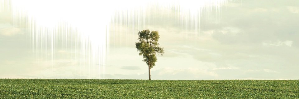 transcendfilms's profile banner image