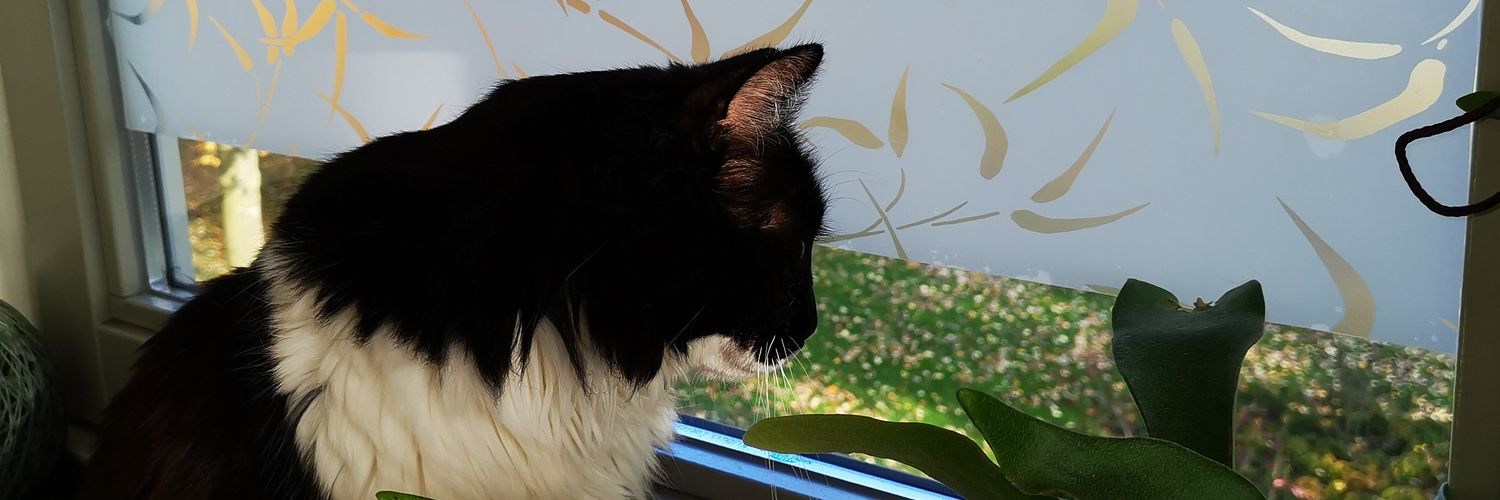 esjemaria's profile banner image
