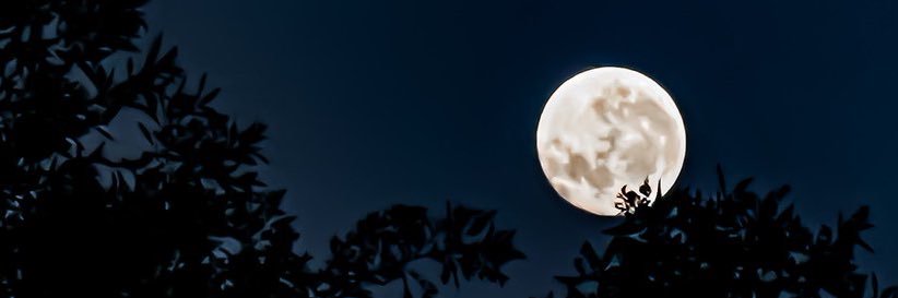 MASHawkii's profile banner image