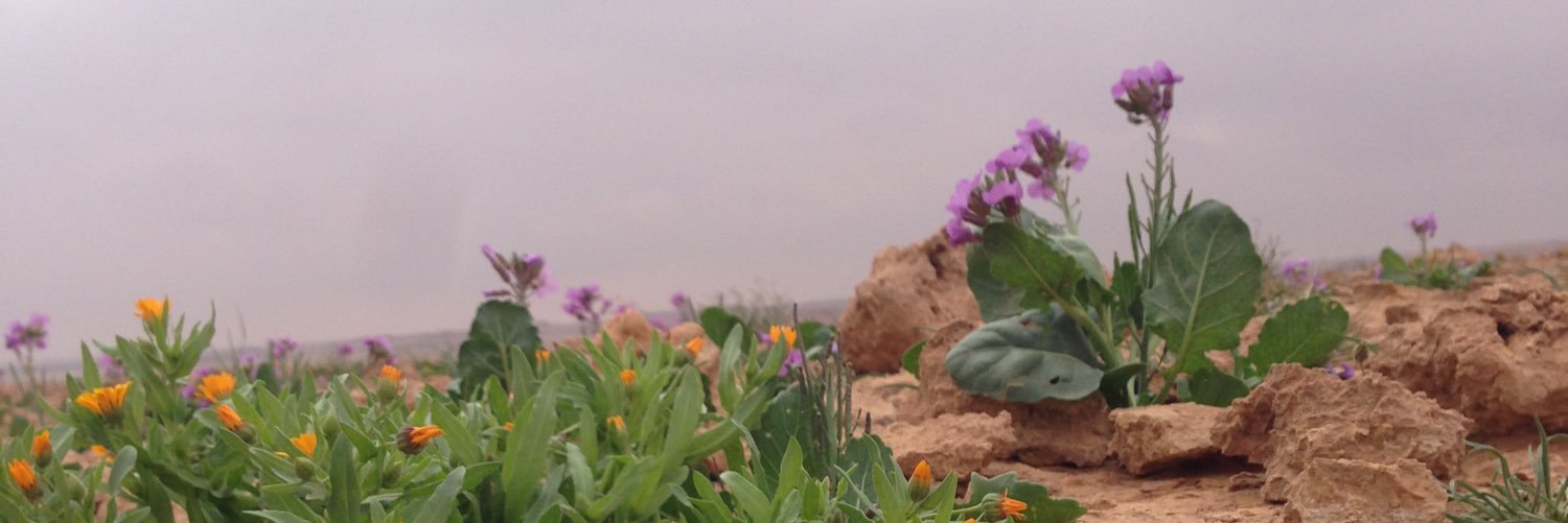 Mamdoh58's profile banner image