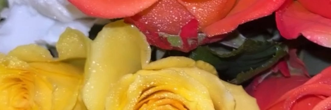 7sOnMyAss's profile banner image