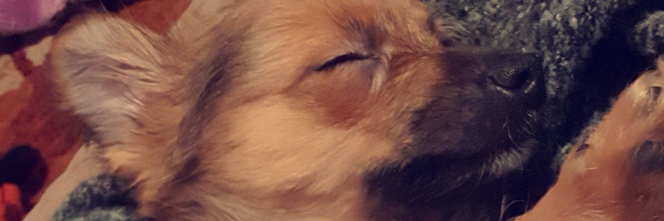 KaylieCMoore's profile banner image