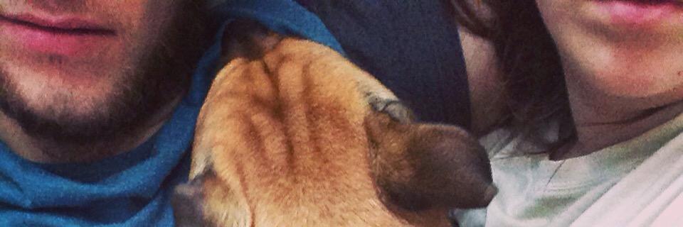 Jordan_Clarisse's profile banner image