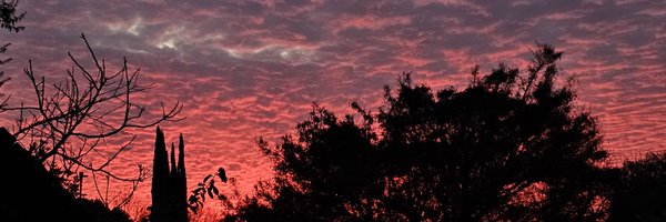 Wh4tWhAAAt Profile Banner