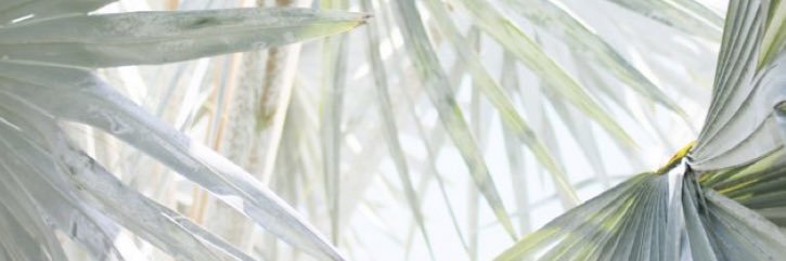 GeorgiaHannard's profile banner image