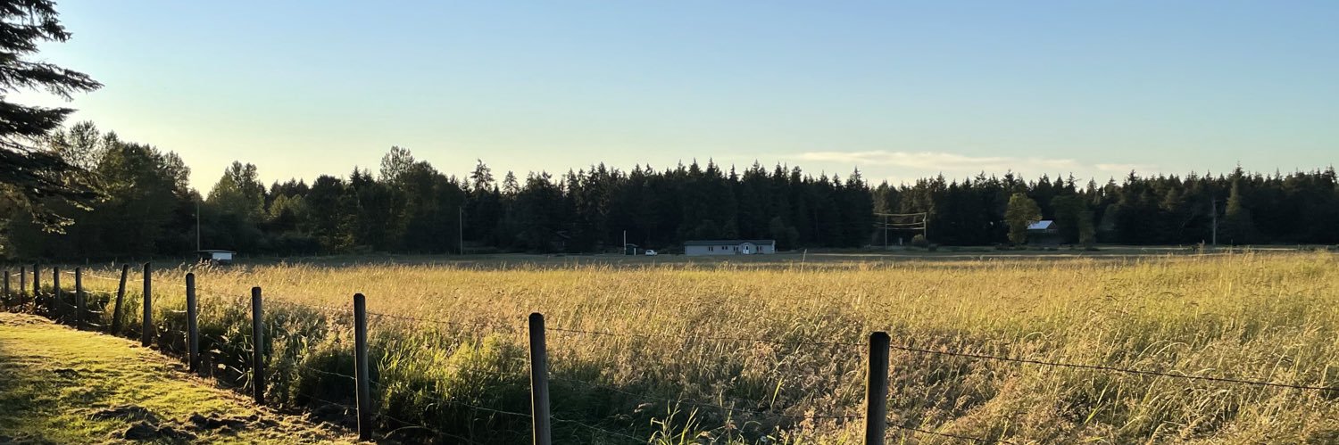 ChelAndersen08's profile banner image