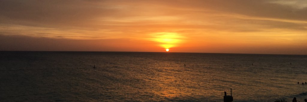 mariscawamp's profile banner image