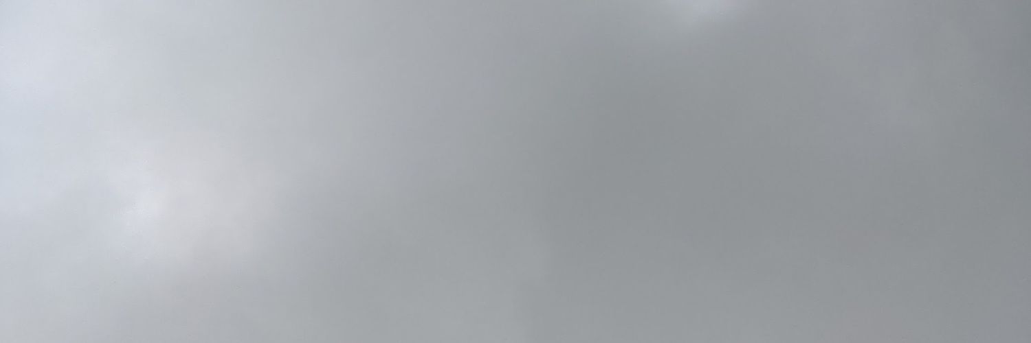cameron banner