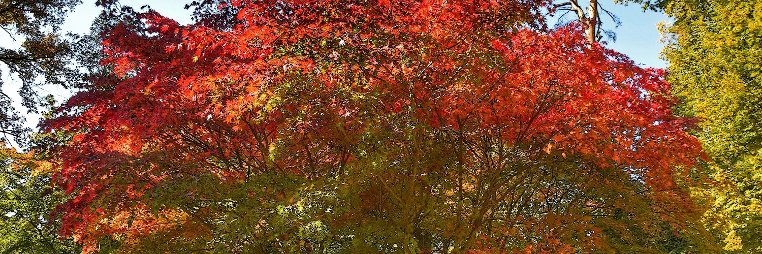 21Maja78's profile banner image