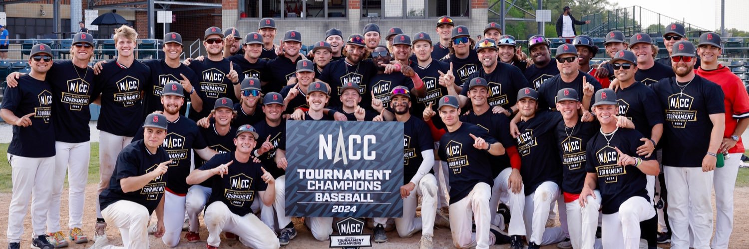 Benedictine Baseball banner