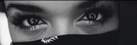#1337 banner