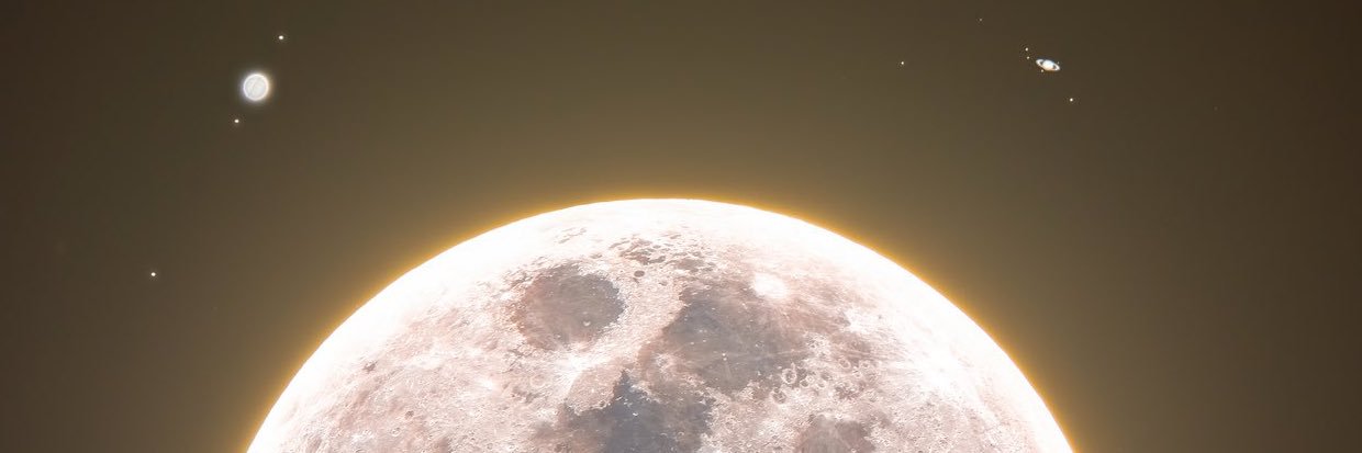 lapatronagigi's profile banner image