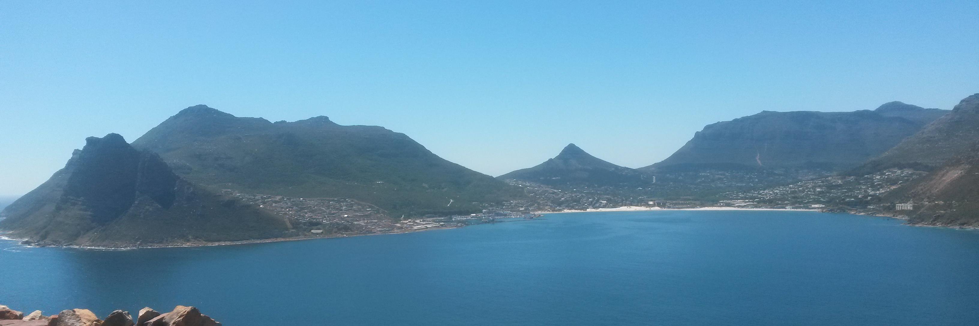 Courtney North banner