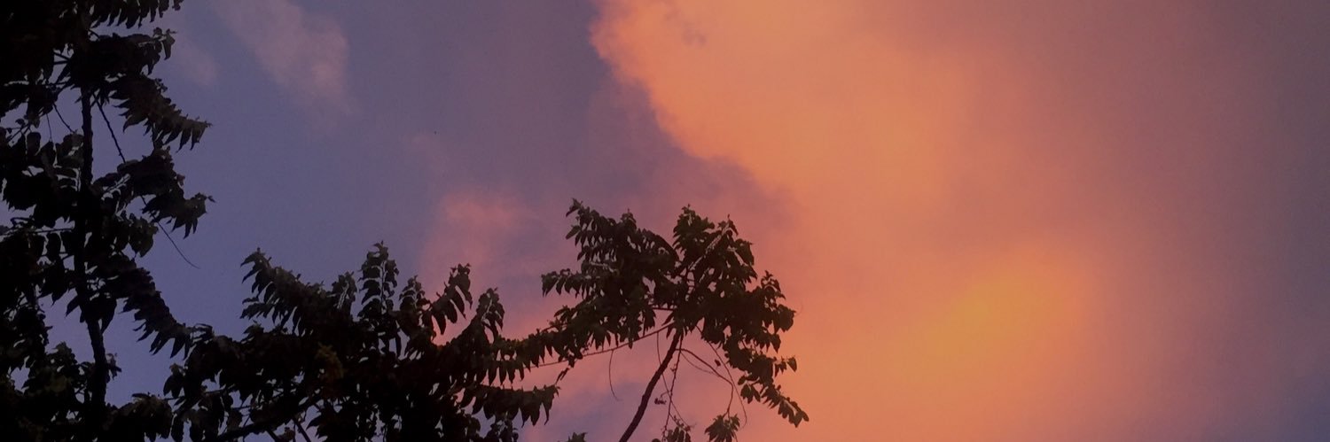 isabelports's profile banner image