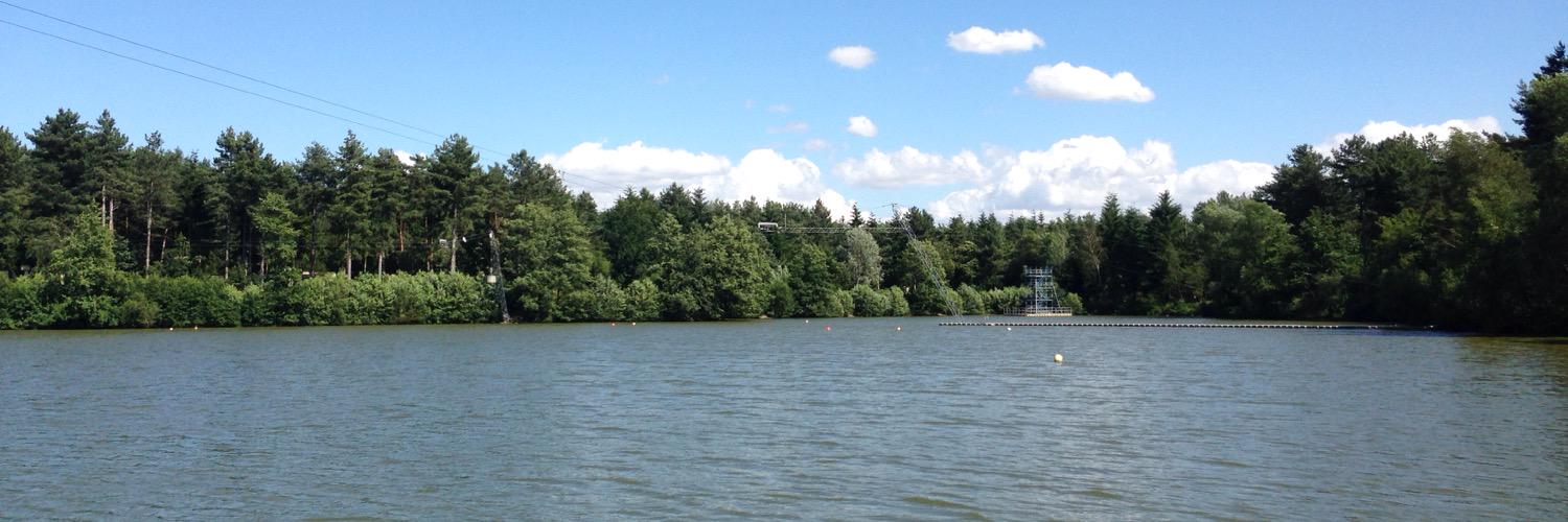 د. عبدالواحد الرفاعي banner