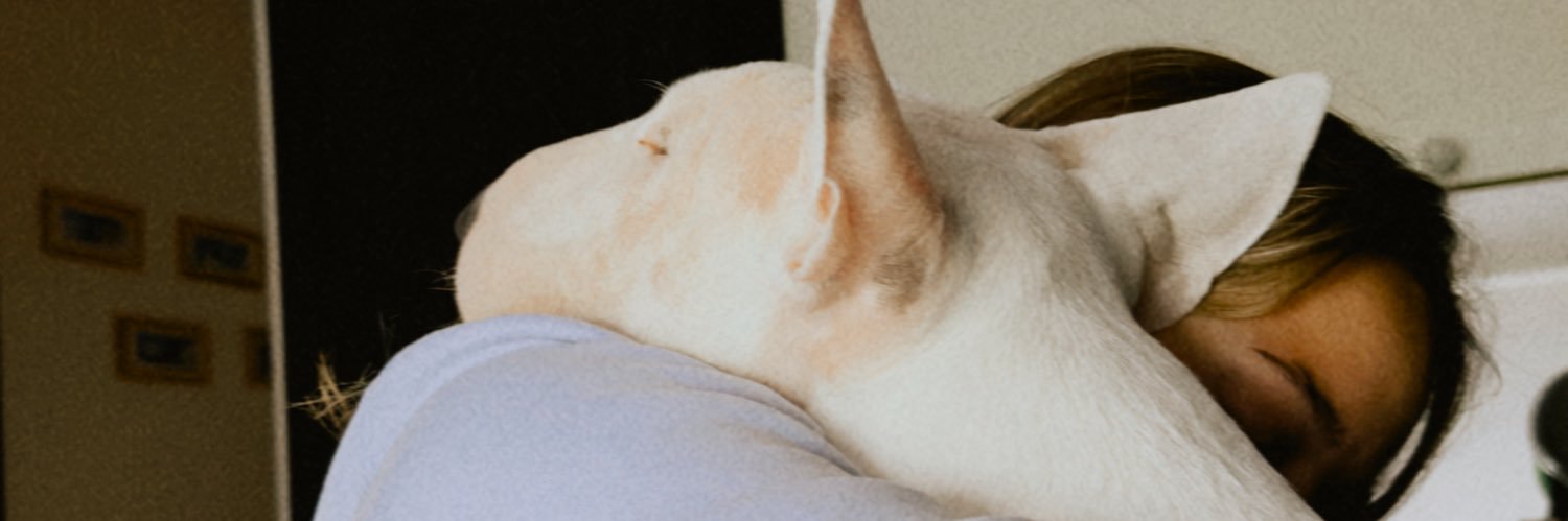 SolFontan1's profile banner image