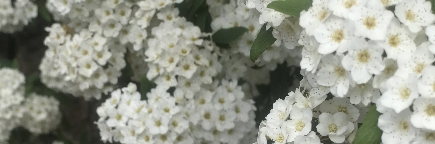 Elf_Elf_Diye's profile banner image