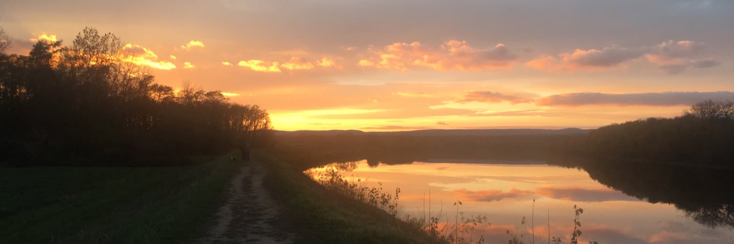 LizBenbenek's profile banner image