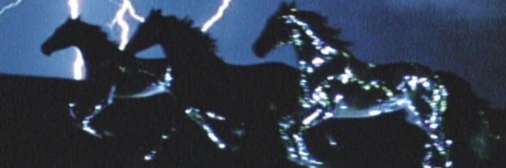 Kennedy banner