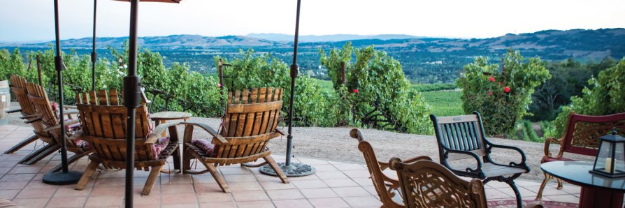 B. Wise Vineyards banner