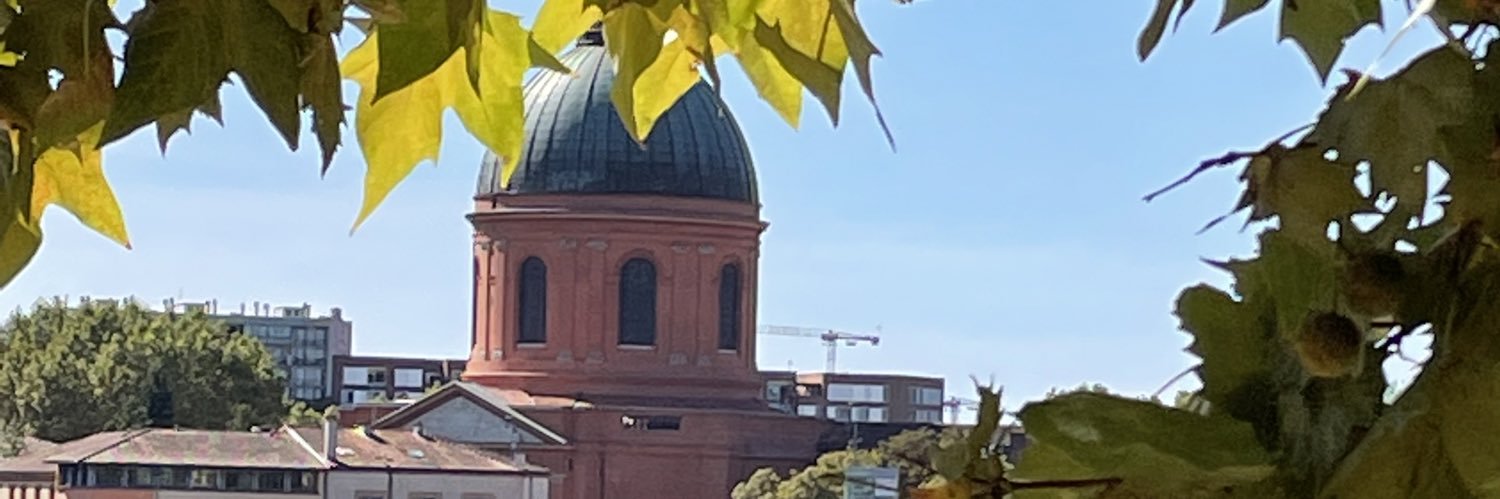 LRigolo 🇫🇷 banner