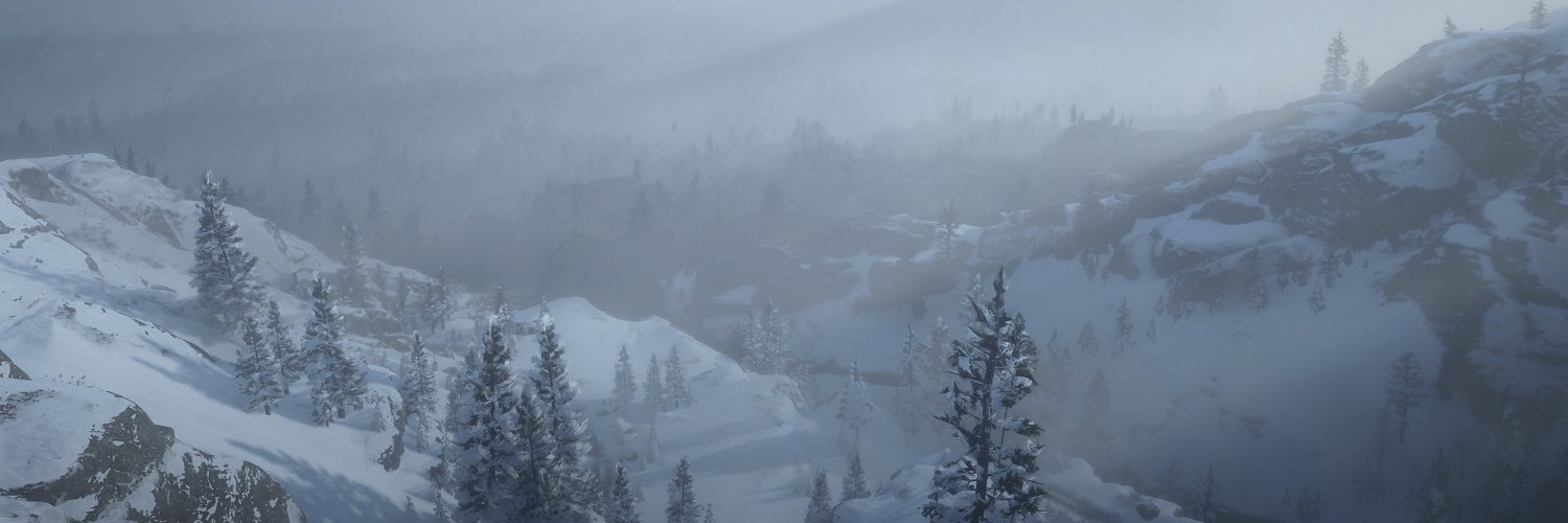 WolvieOnChain's profile banner image