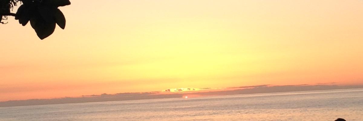 annem_slowik's profile banner image