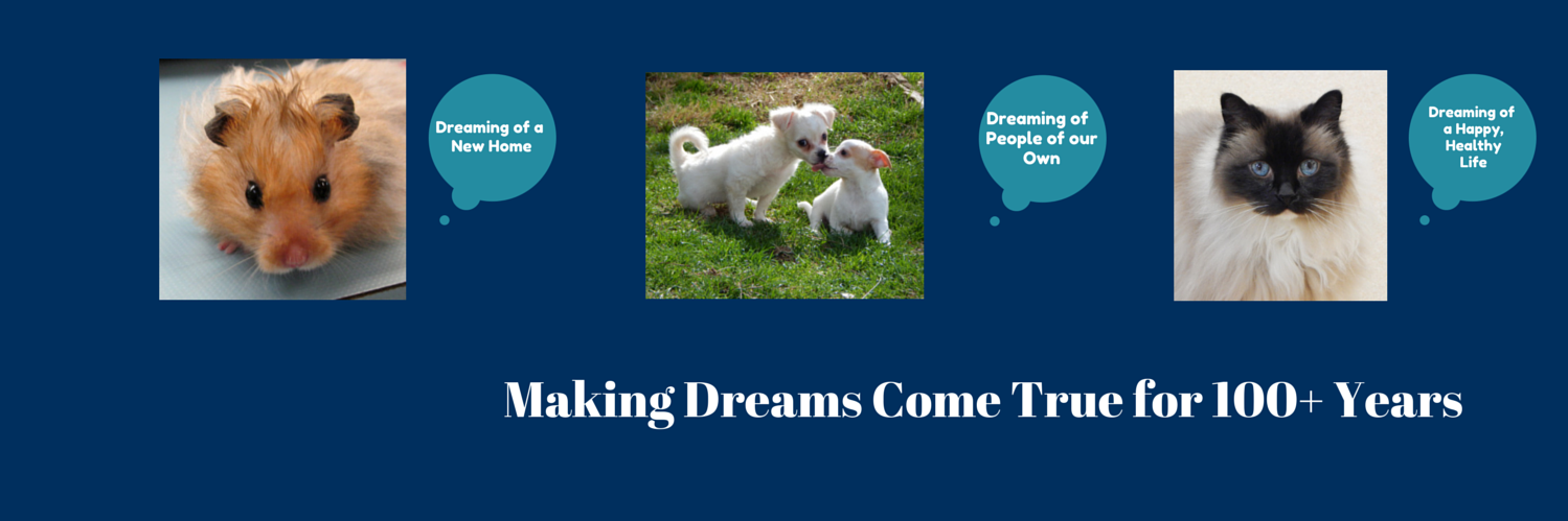 Bucks County SPCA banner