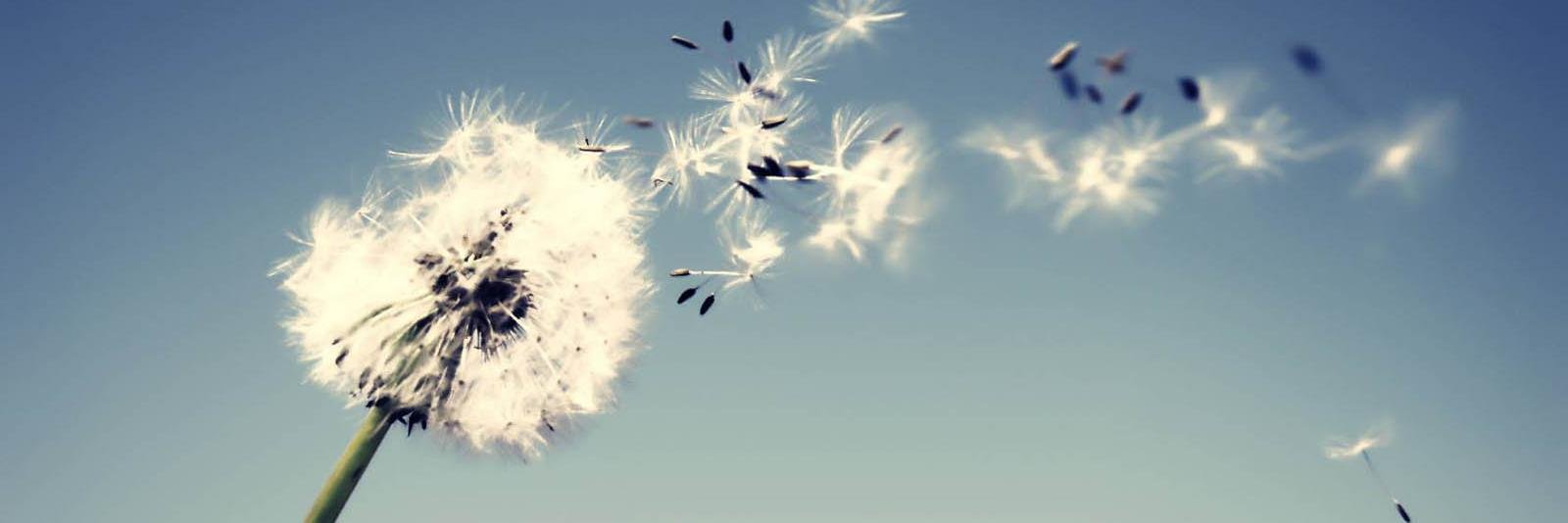 Ea_Laila's profile banner image