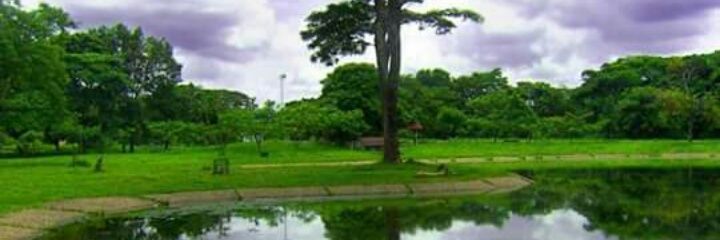 pedro_acurero's profile banner image