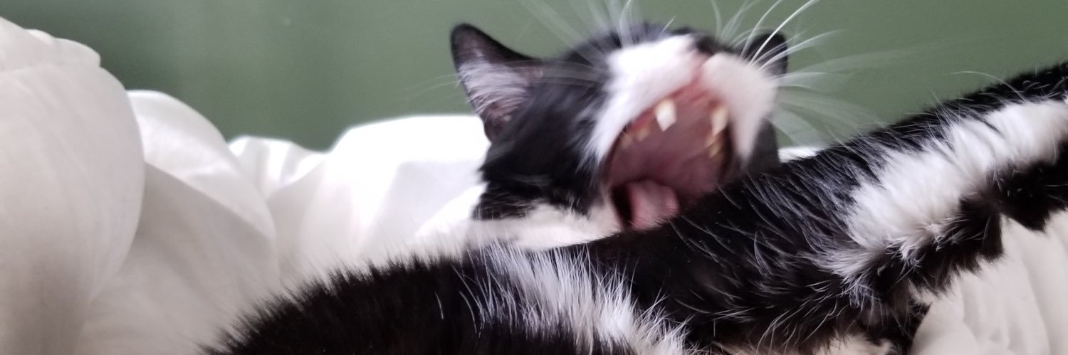 AModifiedD0G's profile banner image