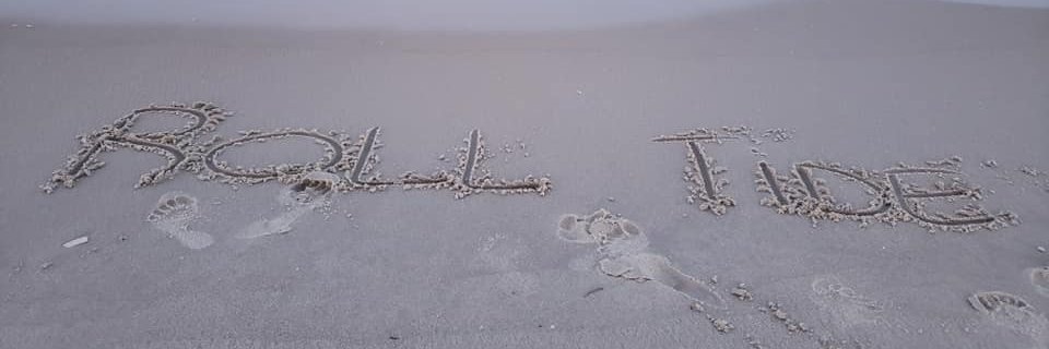 jlbnea's profile banner image