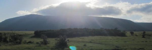 Hannahmacccd Profile Banner