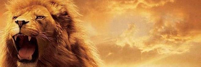 advcruzz's profile banner image