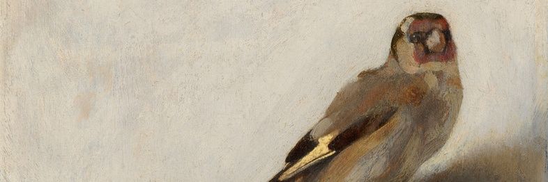 The Morning Bark banner